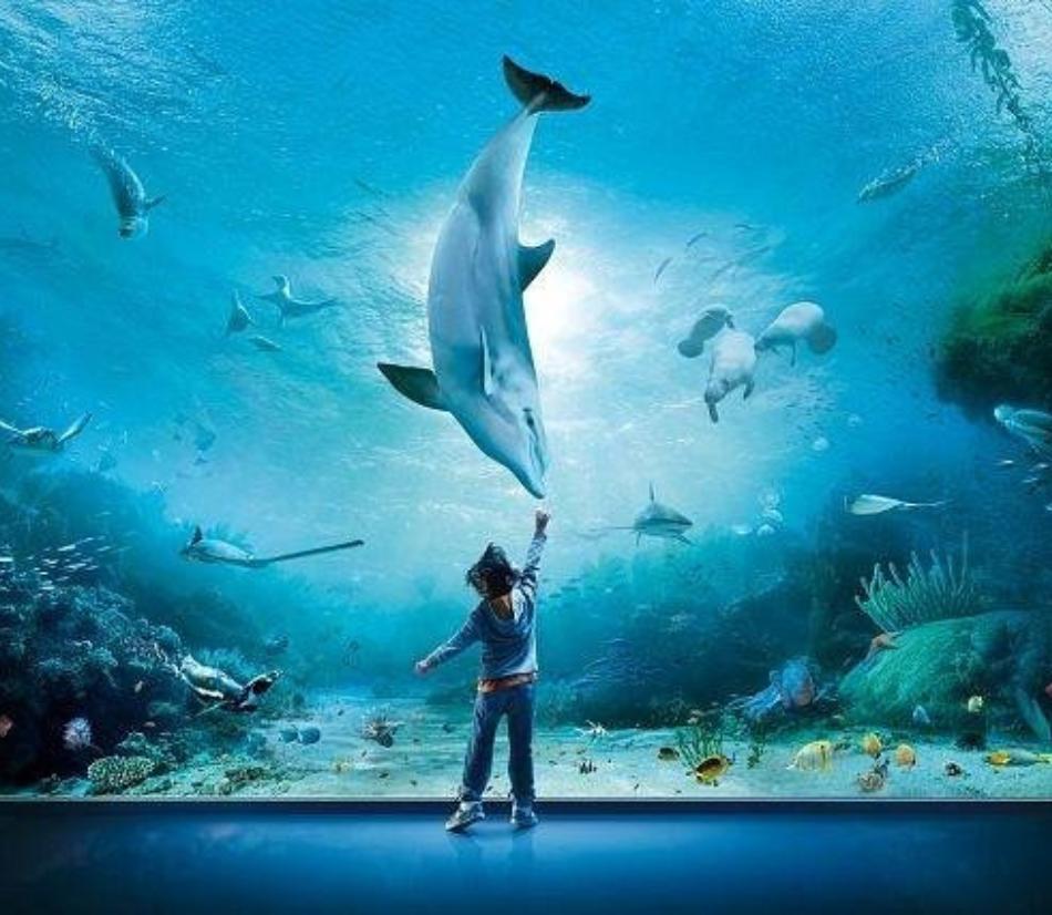 Acuqario di Genova - Biglietti per il parco acquatico più grande d'Europa