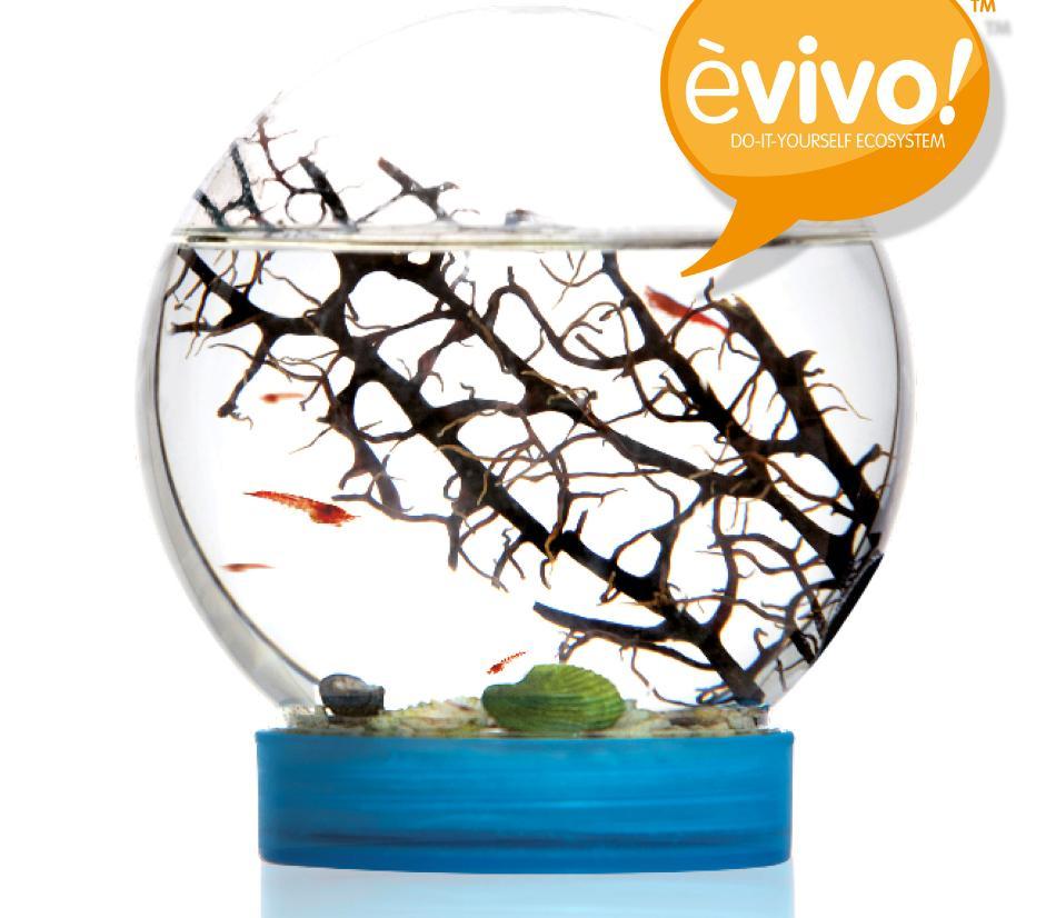 E' vivo - Ecosistema acquatico in miniatura