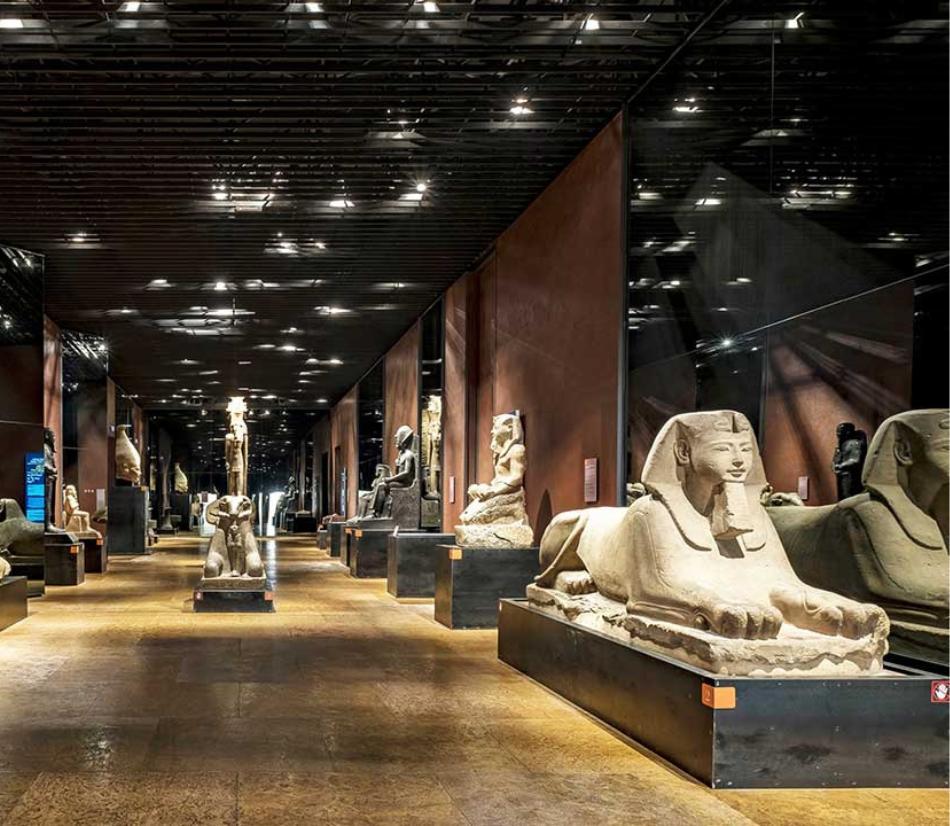 Museo Egizio di Torino - Vari tour disponibili (TO)