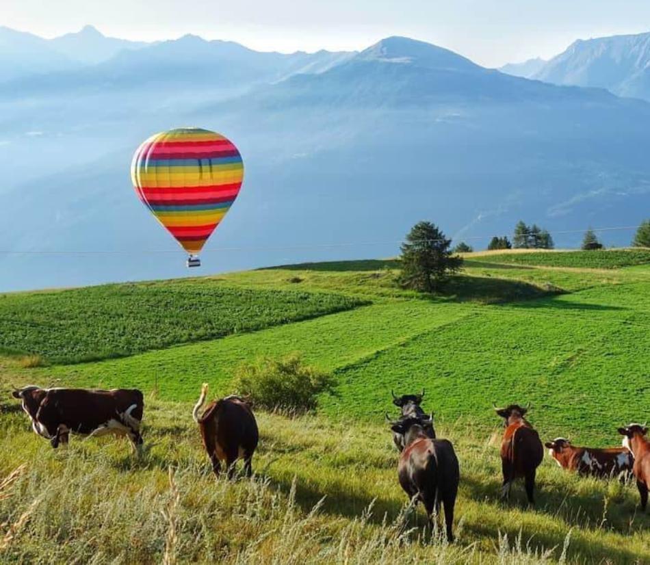 Volo con mongolfiera - Varie località in Italia