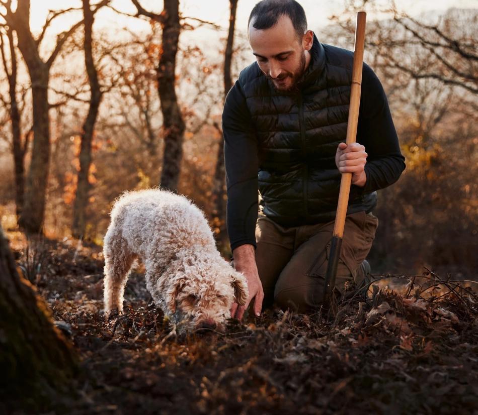 Caccia al tartufo: tartufaio per un giorno - Varie località in tutta Italia