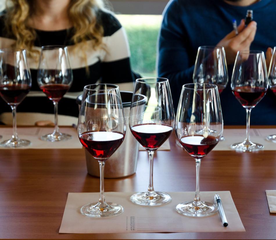Degustazioni vino per veri appassionati
