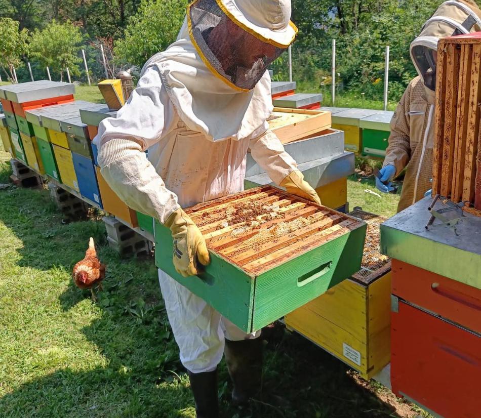 Diventa apicoltore per un giorno