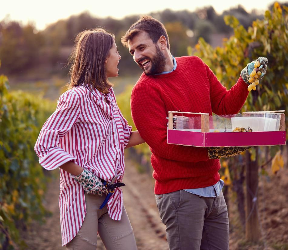 Esperienza romantica: visita cantina, degustazione e pernottamento