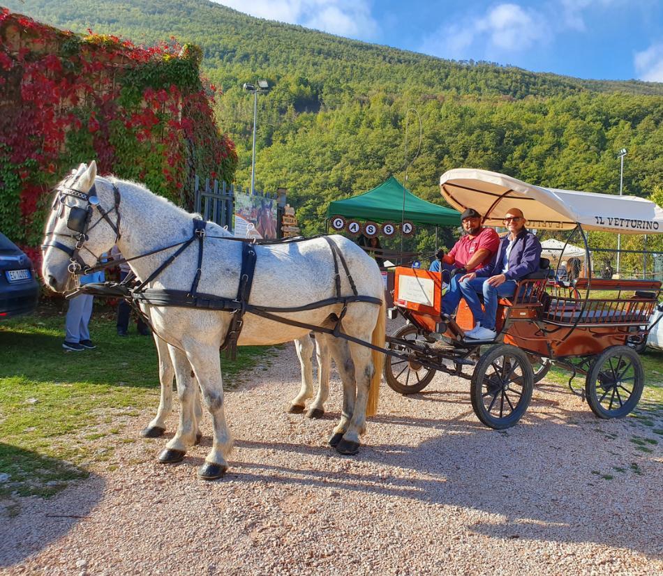 Giro in carrozza - Varie località in tutta Italia