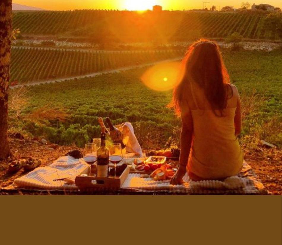 Pic-Nic in vigna - Esperienza degustazione vino tra relax, natura e pic-nic