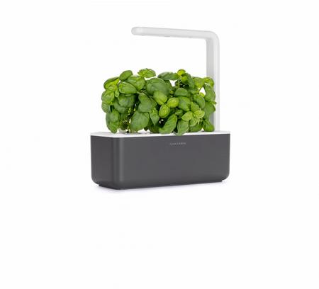 Smart garden - Coltivazione tecnologica e automatica di piantine aromatiche