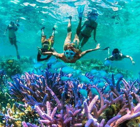 Snorkeling & Scuba diving experience - Varie località in tutta Italia